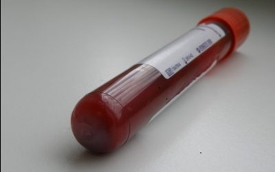 Cuál es la responsabilidad de un perito médico