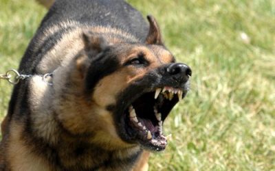 What Is The Best Robot Vacuum Cleaner for 2021 | Reviews byV Best & First