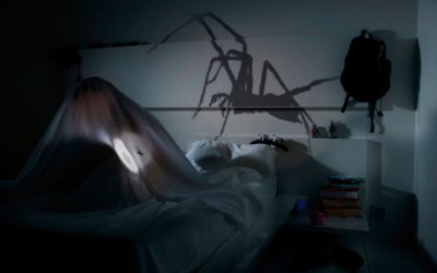 El mundo irracional de las fobias